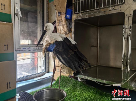 �܂��Ė|�����X���ڽ����ί�����ʯ���� �z